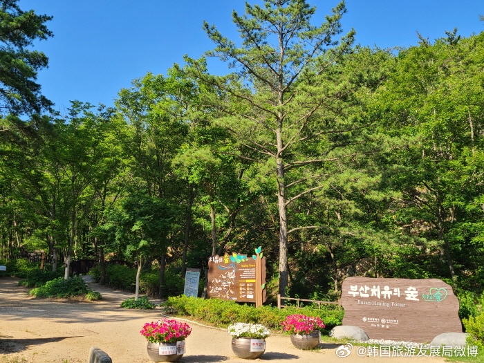 韩国最新理论，自然美景治愈之旅探索