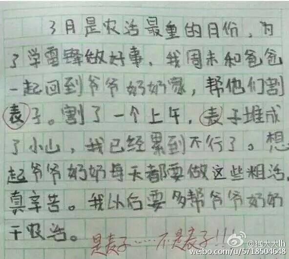 万能作文开头背后的温馨日常故事启示