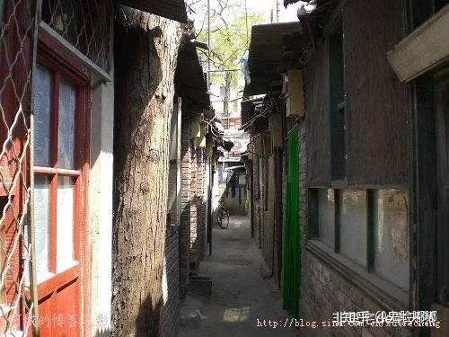 国家最新通知揭秘，小巷中的隐藏瑰宝探索之旅