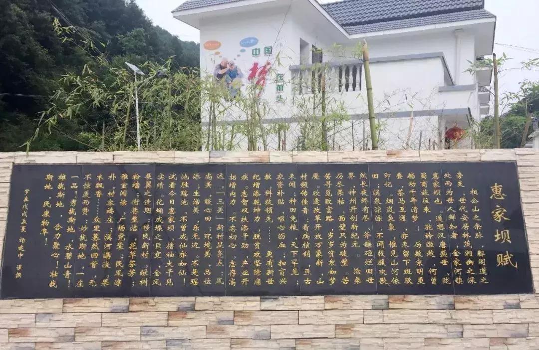章节最新元，开启阅读新纪元的探索之旅！