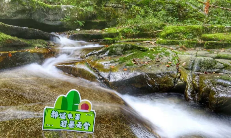 九真九阳最新章节在线，自然美景探险之旅，探寻内心平和之旅