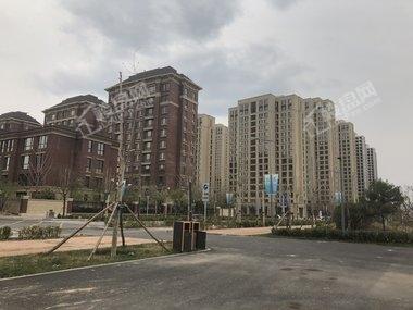 天津市全运村最新动态更新