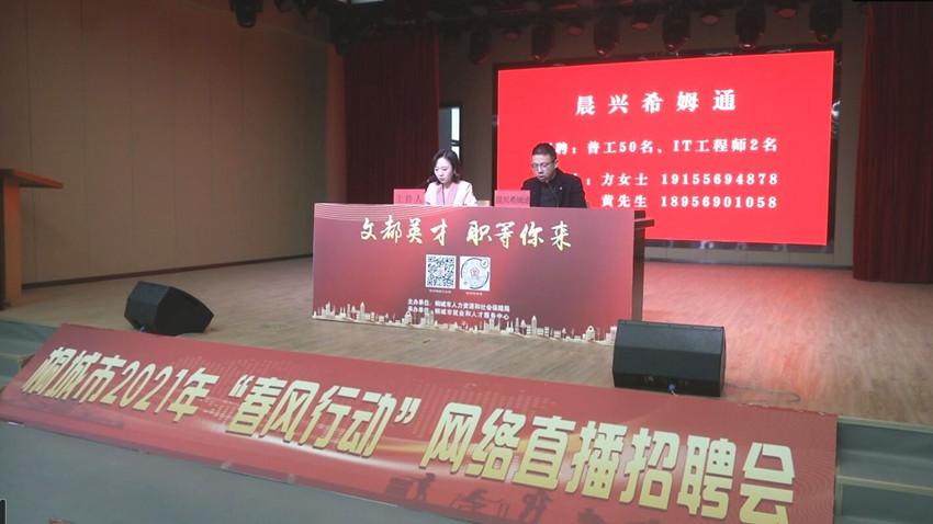 桐城在线最新招聘，求职全流程指南及职位推荐