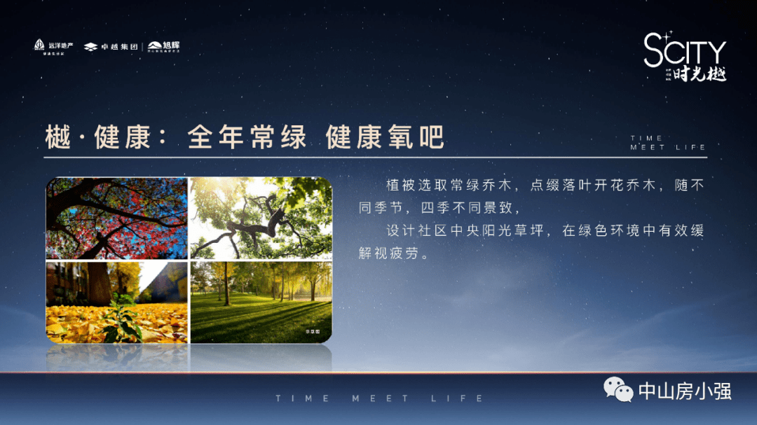 中山模具最新招聘，小巷中的隐藏宝藏，探寻模具行业人才盛宴！