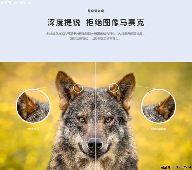 狐狸最新价格行情，变化中的学习之旅，自信与成就感的源泉