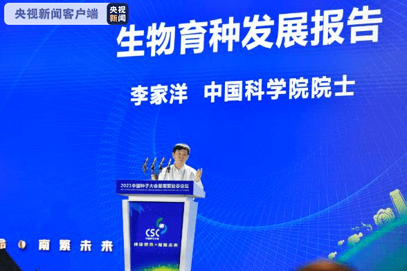 最新种业公司招聘，多元视角的人才吸引与选拔策略实践