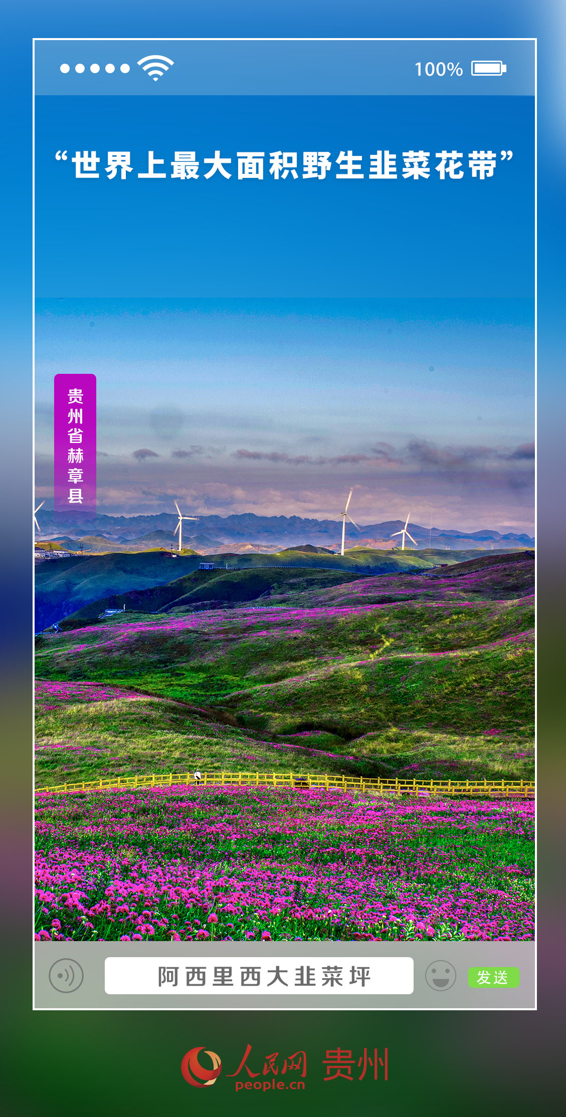 启程寻找内心的平静与喜悦，最新马报图带你探索自然美景