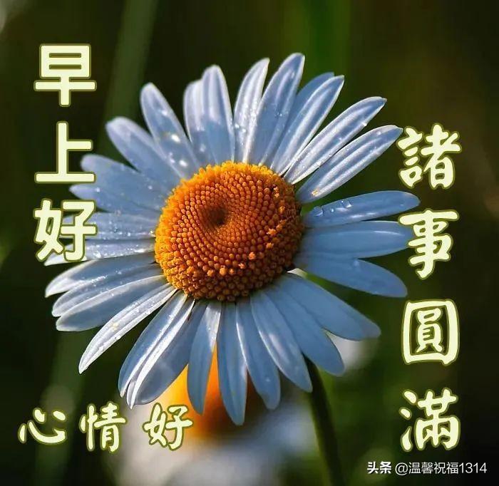 探索自然美景之旅，聆听2017最新铃声，寻找内心平静