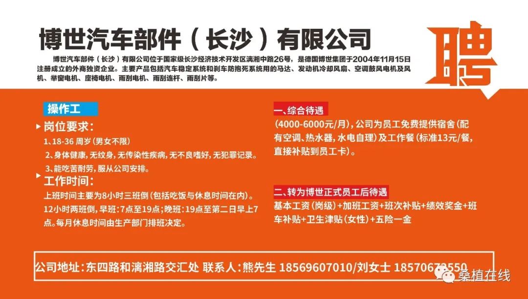 溆浦最新招聘信息大全，求职步骤指南
