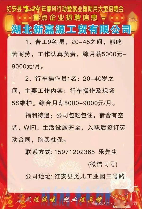红安最新司机招聘信息，职场与友情的日常趣事探寻