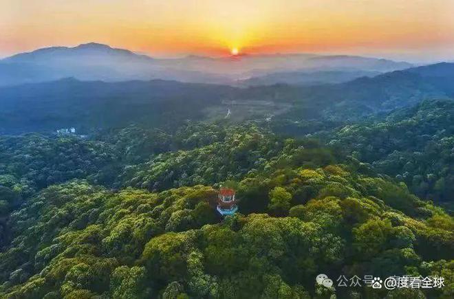 沙井最新新闻，自然美景探索之旅，寻找内心平和之地