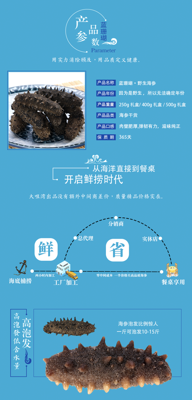 🌟海参养殖最新动态更新🌟