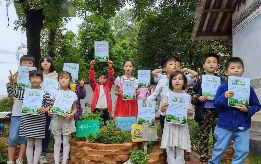 小妖精最新版全面解析，功能特点与体验探讨