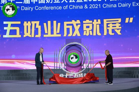 时代快车最新动态，驾驭变化，成就自信与辉煌之路