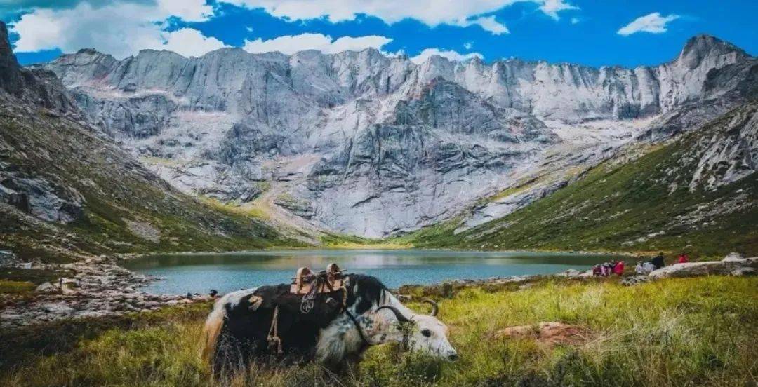 沙德最新动态，探索自然美景的愉悦之旅，寻找内心平和的旅程