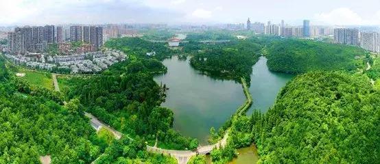 数据库最新技术与自然美景探索之旅