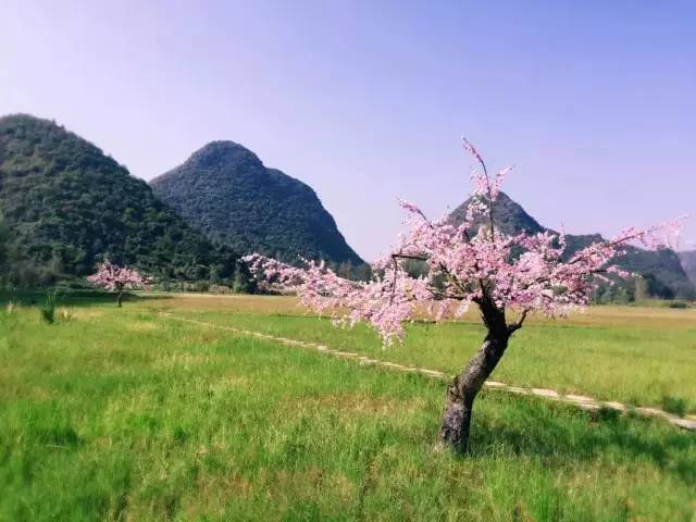 袁厉害最新消息，自然美景探索之旅的心灵觉醒与洗涤